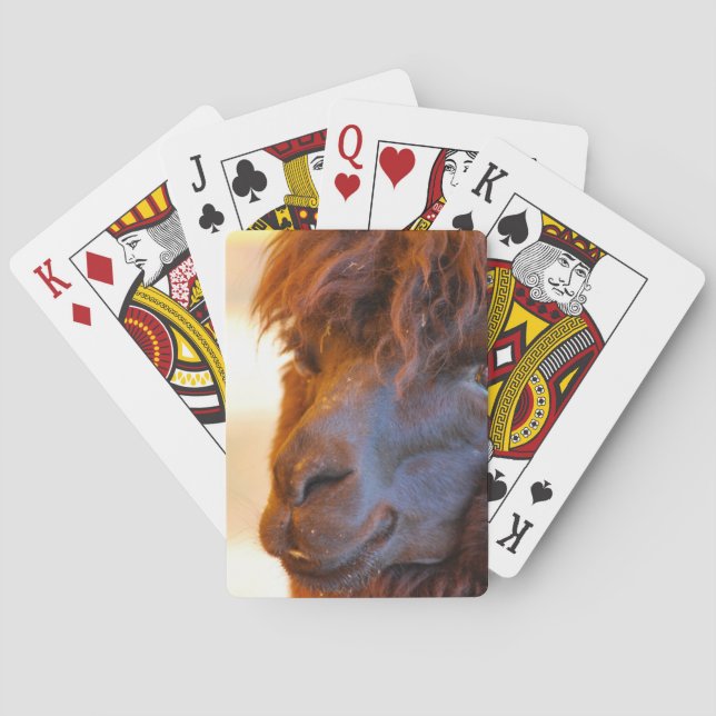 Black Llama Playing Cards (Back)