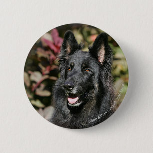 Black Long Haired German Shepherd 2 Inch Round Button