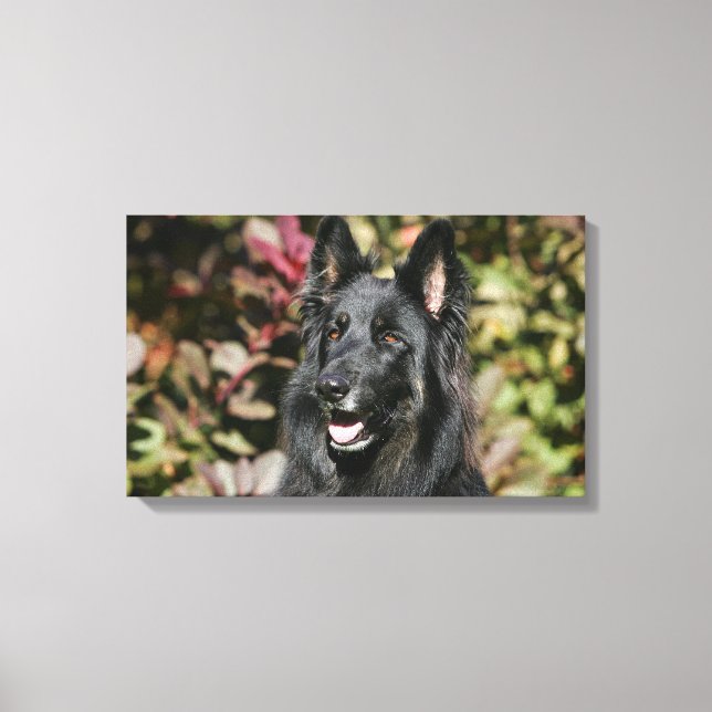 Black Long Haired German Shepherd Canvas Print (Front)