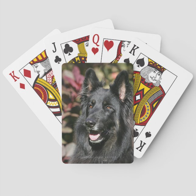 Black Long Haired German Shepherd Playing Cards (Back)