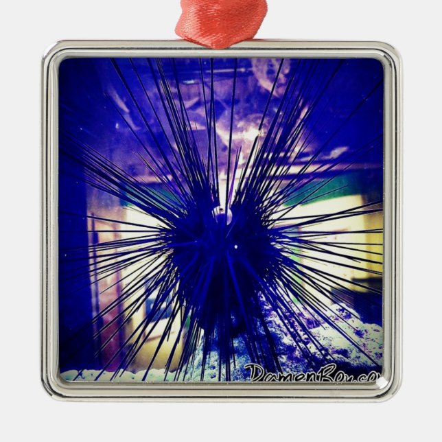 Black Longspine Urchin Metal Ornament (Front)
