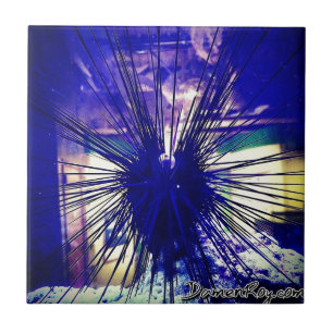 Black Longspine Urchin Tile