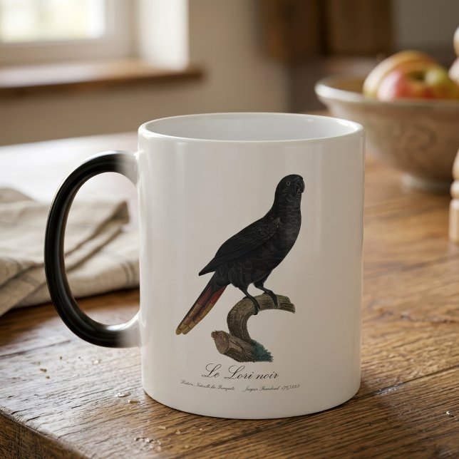 Black Lory or Red-Quilled Lory, Chalcopsitta atra Magic Mug (Black Lory or Red-Quilled Lory, Chalcopsitta atra. Color Morph Mug)