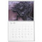 Black Magic Horse Calendar