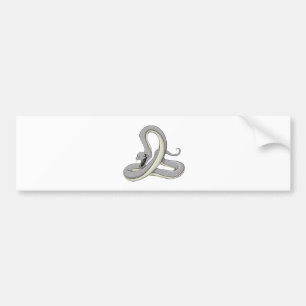 Black Mamba Bumper Sticker