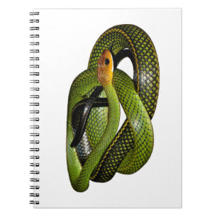 Black-margined Ratsnake or Green rat snake Notebook