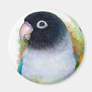 Black-masked lovebird magnet