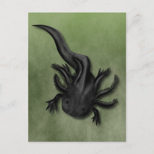 Black Melanoid Axolotl Art Postcard (Front)