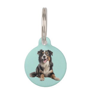 Black Merle Australian Shepherd Pet Tag