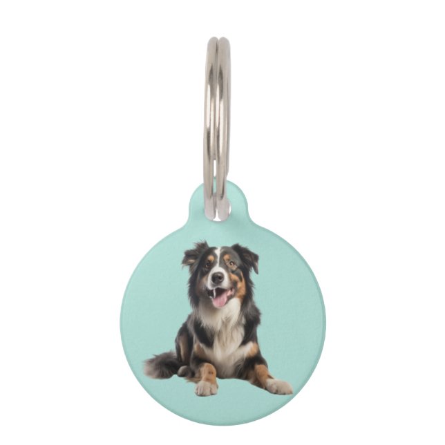 Black Merle Australian Shepherd | Pet Tag (Front)