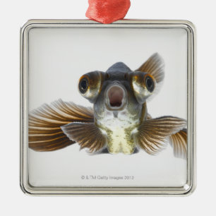 Black moor goldfish (Carassius auratus) Metal Ornament