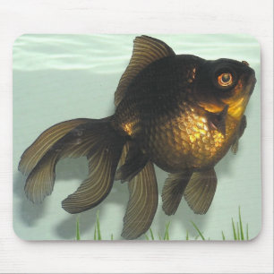 Black-moor Goldfish Mouse Pad