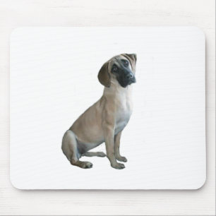 Black Mouth Cur #1 Mouse Pad