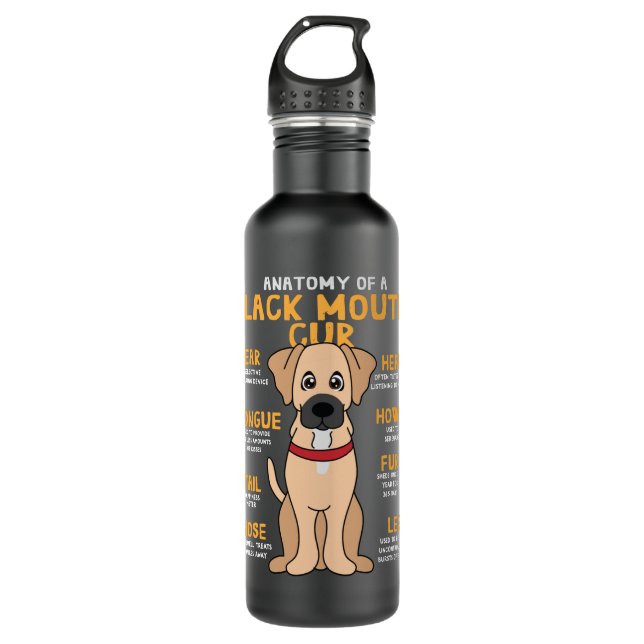 Black Mouth Cur Anatomy Funny Dog Mom Dad Cute Gif 710 Ml Water Bottle (Front)