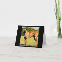 Black Mouth Cur Dog 