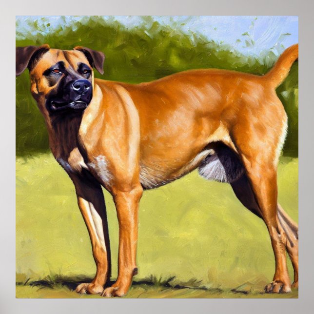 Black Mouth Cur Dog  Poster (Front)