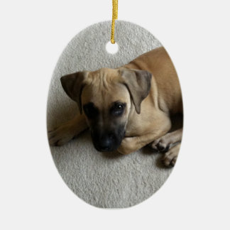 Black-mouth cur puppy with blue toy ceramic ornament
