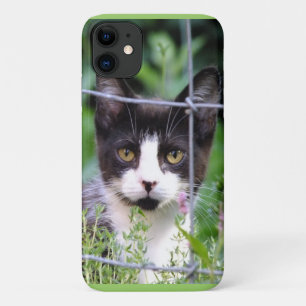 Black n White Tuxedo Kitten in the Garden iPhone 11 Case