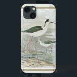 Black-Necked Stilts by the Water iPhone 13 Case<br><div class="desc">This simple yet beautiful fine art print of two black-necked stilts standing by the water on a cloudy day will look perfect on any Zazzle product. The neutral colours are very relaxing and would make a great addition to your home or office.</div>
