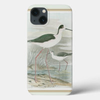 Black-Necked Stilts by the Water