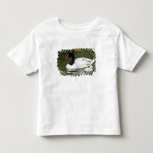 Black-necked swan adult and cygnets in water. toddler t-shirt