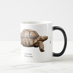 Black-necked turtle magic mug