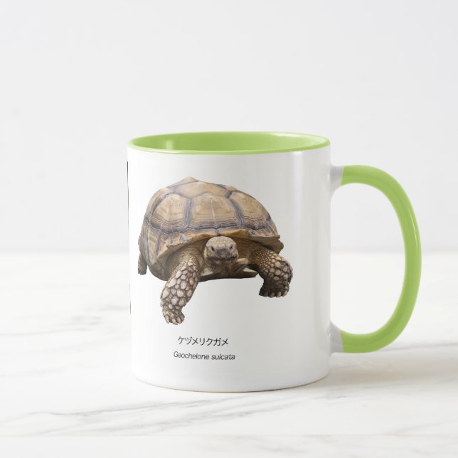 Black-necked turtle mug (Right)