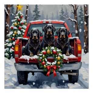 Black Newfoundland Christmas Red Truck Holiday Poster