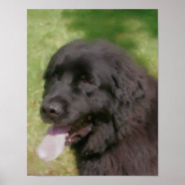 Black Newfoundland Dog Art Pastel Poster (Front)