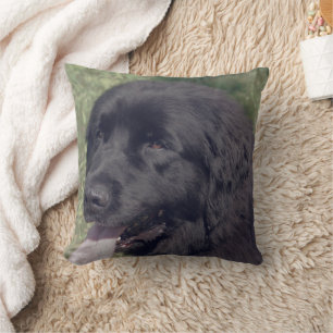 Black Newfoundland Dog Face Throw Pillow