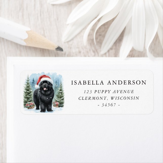 Black Newfoundland Dog Winter Watercolor Adresse (En situation)
