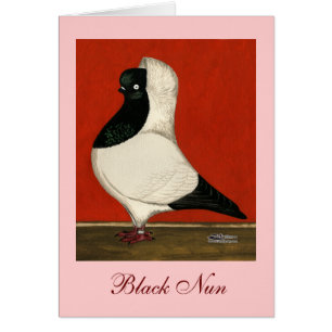 Black Nun Pigeon