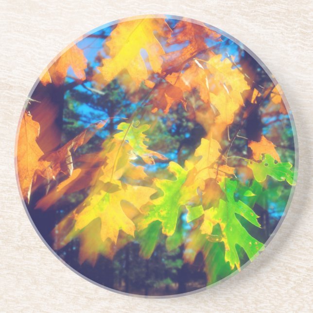 Black Oak Leaves blowing in the Wind Coaster (Front)