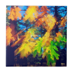 Black Oak Leaves blowing in the Wind Tile