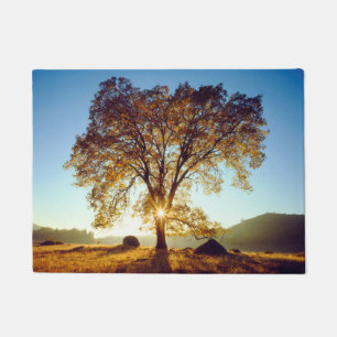 Black Oak Trees   Cleveland National Forest, CA Doormat