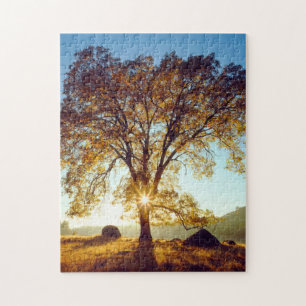 Black Oak Trees   Cleveland National Forest, CA Jigsaw Puzzle