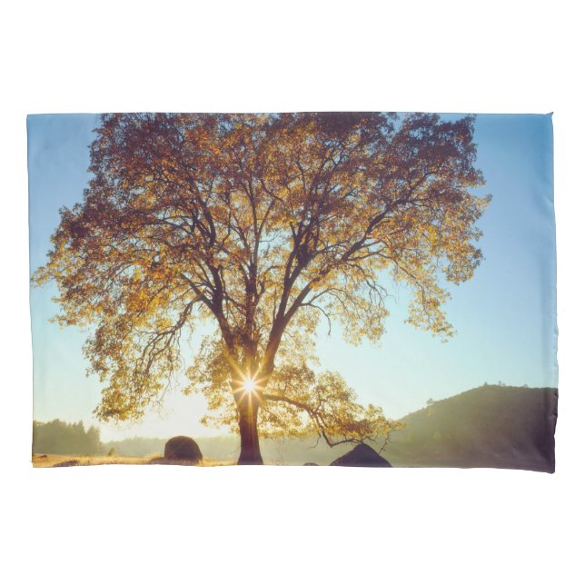 Black Oak Trees | Cleveland National Forest, CA Pillowcase (Front-Left)