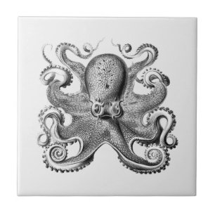 Black Octopus illustration by Ernst Haeckel Tile