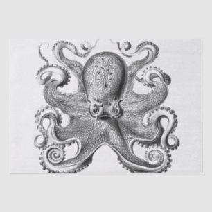 Black Octopus illustration by Ernst Haeckel Tissue Paper
