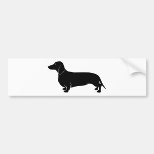 Black on White Dachsund Bumper Sticker