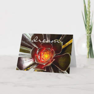 Black Orange Cactus Succulent Photo Dream Bold Card