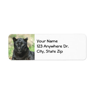 Black Panther
