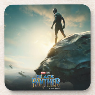 Black Panther   Black Panther Standing Atop Lair Coaster