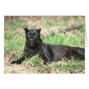 Black Panther Card