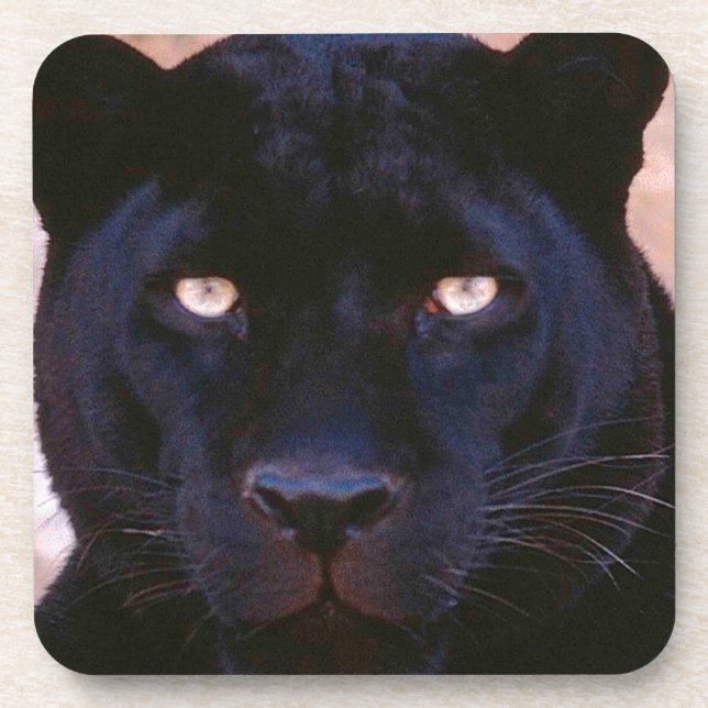 Black Panther Coaster (Front)