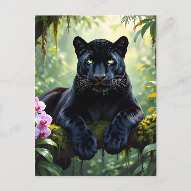 Black Panther in the Jungle Postcard (Front)