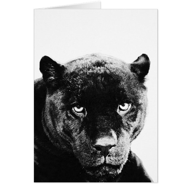 Black Panther Jaguar (Front)