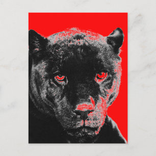 Black Panther Jaguar Postcard