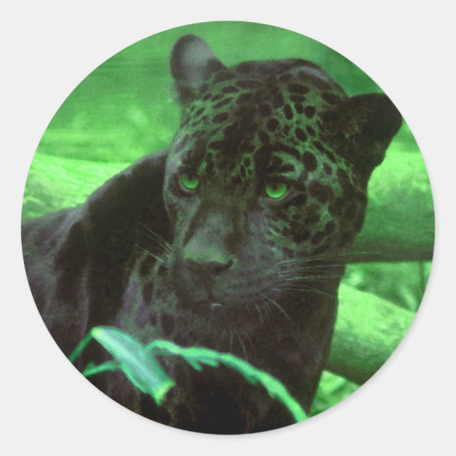 Black Panther Jaquar on Green Classic Round Sticker (Front)