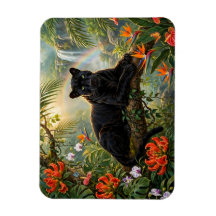 Black Panther Kenya Jungle Flowers Waterfall